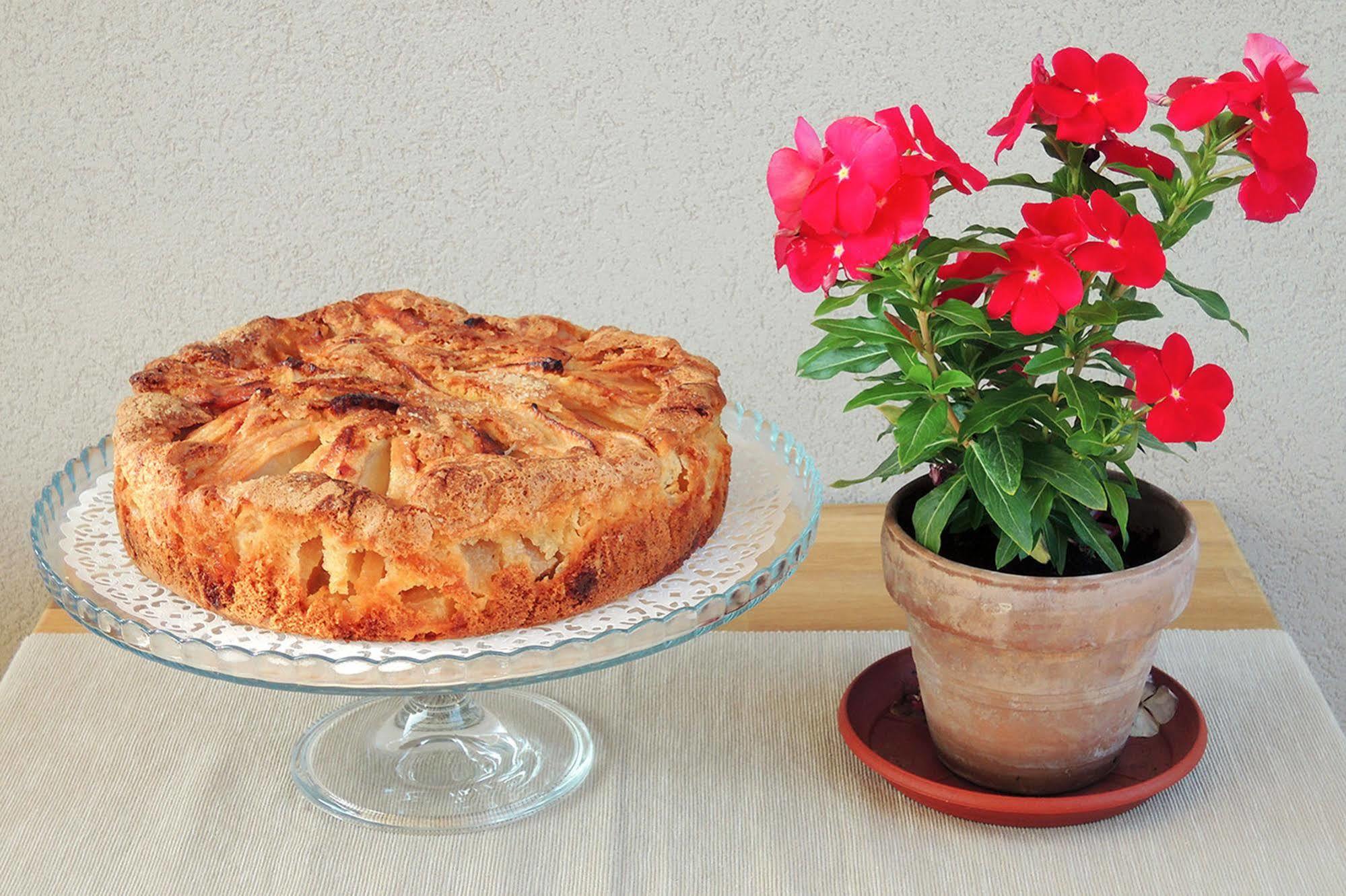 Terrasole Bakery B&B Terrasini Zewnętrze zdjęcie